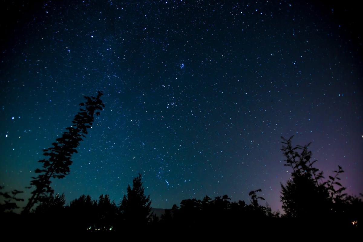 Stars sit over a dark treeline in Tappen, BC, just outside Salmon Arm.