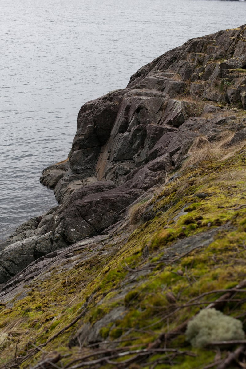 Moss and dark coastal rock look out toward quiet Sunshine Coast water.