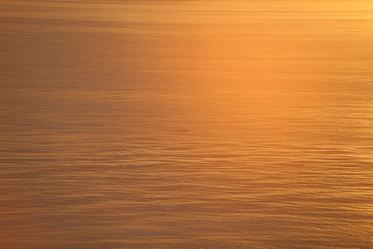 A field of gold light moves across Salish Sea water from the BC Ferry between Vancouver and Nanaimo.