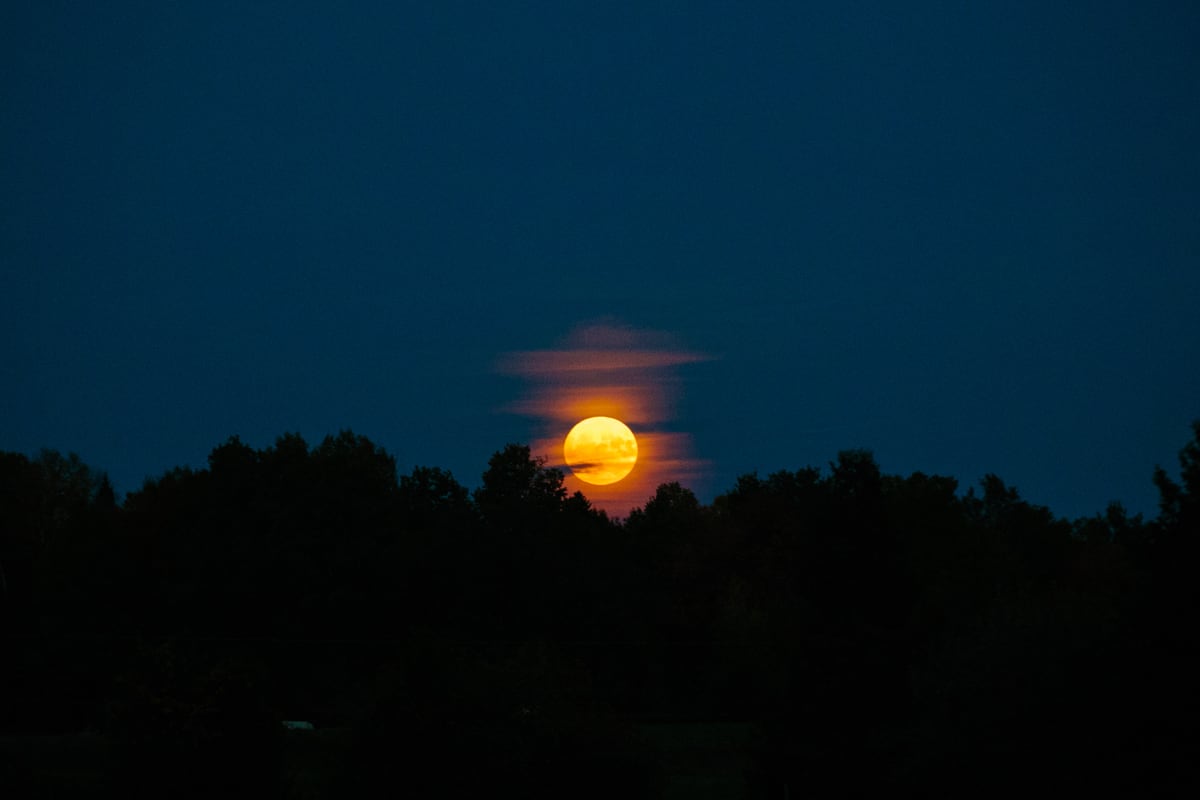 A large moonrise burns like a sun or a moon on fire above a dark Peterborough treeline.