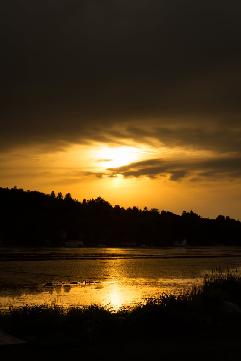 A golden sun drops over a dark Peterborough lake and treeline.