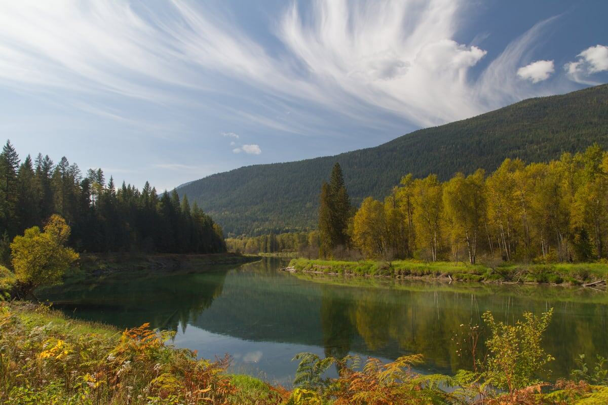 A green river bend curves through yellow trees and mountain light in the Kootenays near Kaslo, BC.