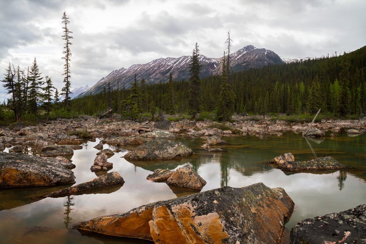 Rock pools, dead trees and mountain weather form a rugged alpine study outside Jasper, Alberta.