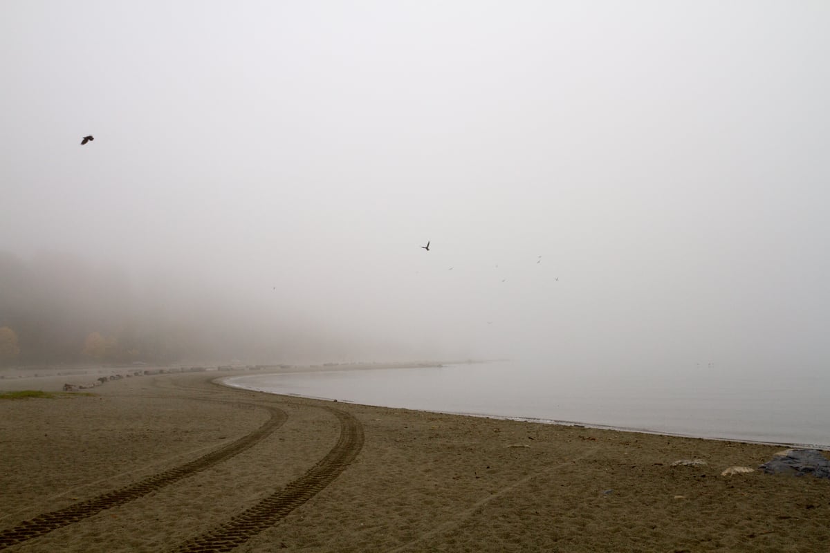 Tire tracks and a foggy Vancouver shoreline disappear into pale water and mist.