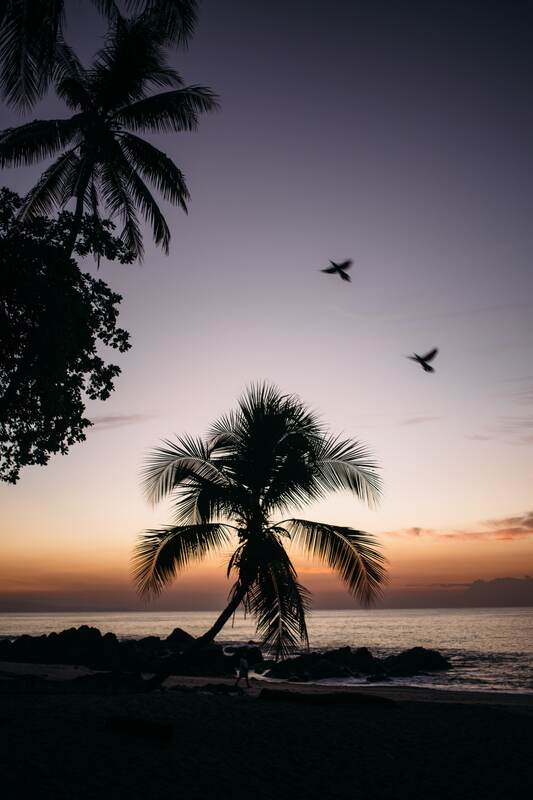 Costa Rica Afterglow story frame 2: A small Costa Rica travel sequence with ocean dusk, palms, jungle paths, waterfall light and print-minded details.