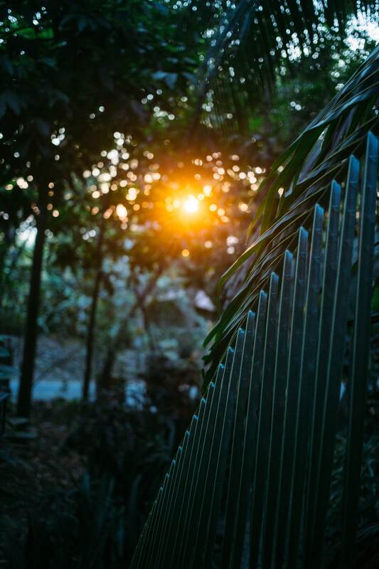 Costa Rica Afterglow story frame 11: A small Costa Rica travel sequence with ocean dusk, palms, jungle paths, waterfall light and print-minded details.
