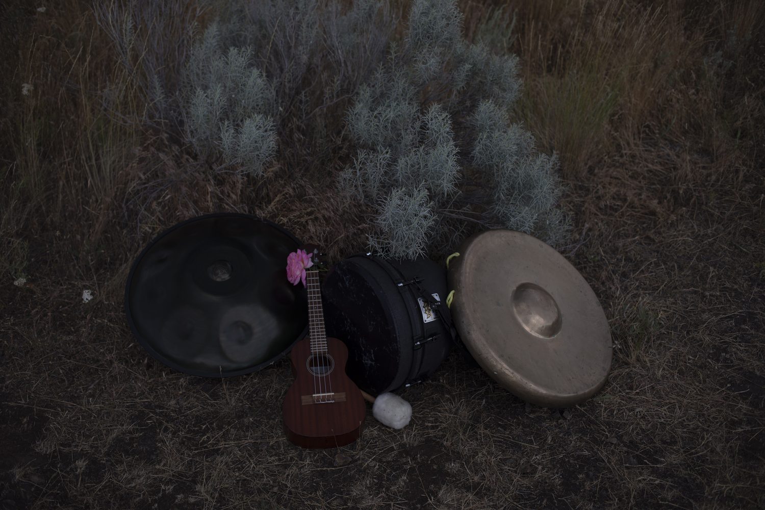 Handpan, ukulele, gongs and cases arranged in the grass.