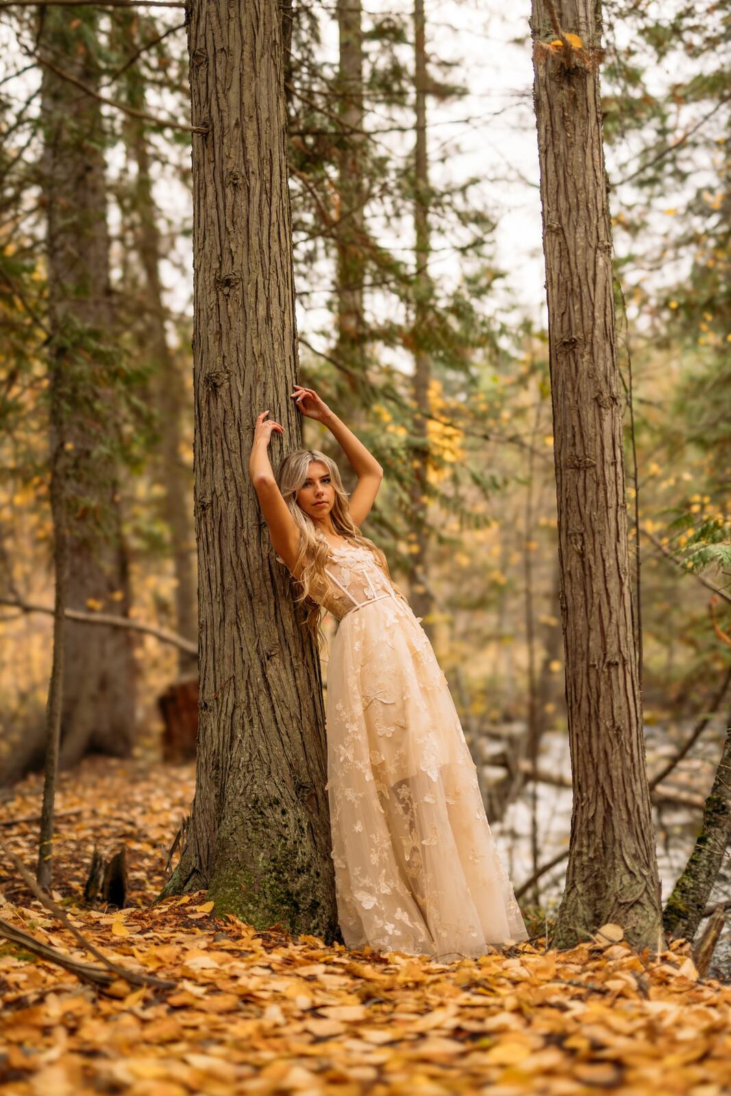 Kaylee, Quiet Portraits