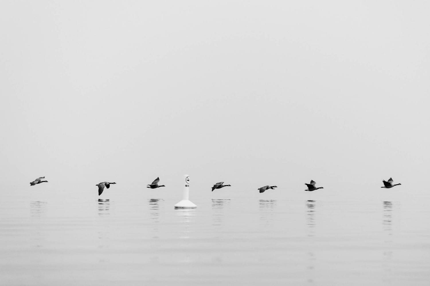 Megan Shallow portraits story frame 17: A fog-soft Kelowna lake portrait session for Megan Shallow, with water, orange dress movement, close body-language frames and quiet birds cutting through the mist.